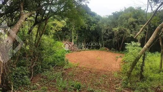 Lote/Terreno à venda, 600m² no Travessão, Dois Irmãos