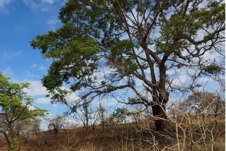 Lote/Terreno à venda, 26485m² no Lagoa Mansões, Lagoa Santa