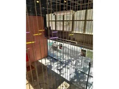 Ponto Comercial para alugar, 129m² no Savassi, Belo Horizonte