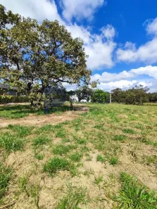 Lote/Terreno à venda, 800m² no , Fortuna de Minas