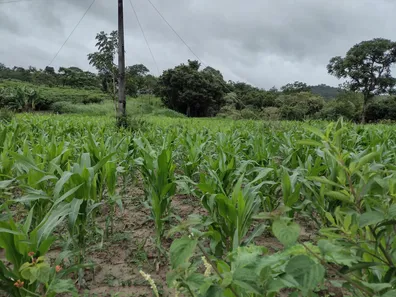 Lote/Terreno à venda, 20000m² no , Fortuna de Minas