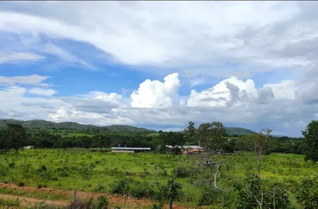 Fazenda/Sítio à venda, 30m² no , Buritis
