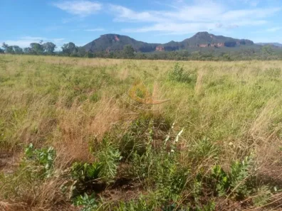 Fazenda/Sítio com 2 Quartos à venda, 22215600m² no Zona Rural, Ponte Alta do Bom Jesus