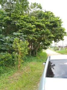 Lote/Terreno à venda, 374m² no , Matinhos
