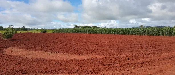 Fazenda/Sítio à venda, 2000m² no Área Rural, Goianira
