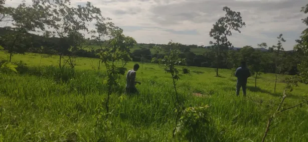 Fazenda/Sítio à venda, 580800m² no Centro, Jaraguá