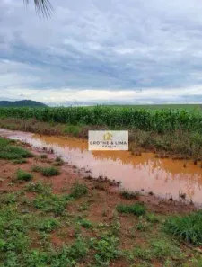 Fazenda/Sítio com 5 Quartos à venda, 800m² no Centro, Estreito