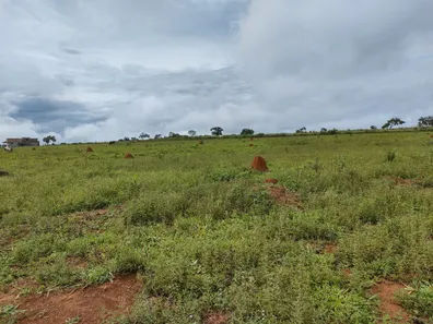 Fazenda/Sítio à venda, 2000m² no , Leopoldo de Bulhões