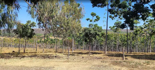 Lote/Terreno à venda, 20013m² no , Cordisburgo