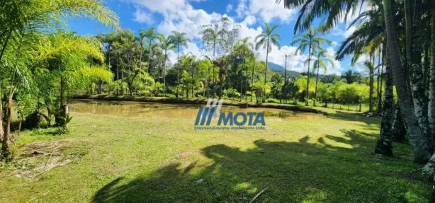 Fazenda/Sítio com 3 Quartos à venda, 300m² no Rio do Cedro, Antonina