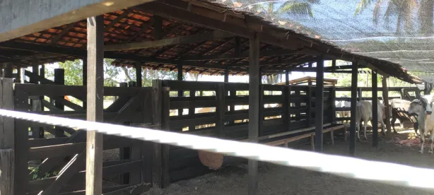 Fazenda/Sítio à venda, 300m² no Centro, Itapecuru Mirim