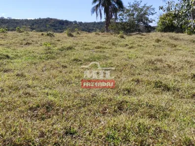 Fazenda/Sítio à venda, 20000m² no , Jaraguá