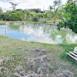 Fazenda/Sítio com 3 Quartos à venda, 3000m² no , Nerópolis