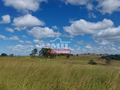 Fazenda/Sítio à venda, 500m² no , Campo Limpo de Goiás