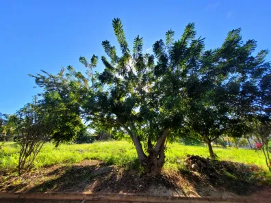 Fazenda/Sítio à venda, 1500m² no , Nerópolis