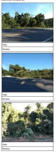 Lote/Terreno com 1 Quarto à venda, 10474m² no São Vendelino, Bento Gonçalves