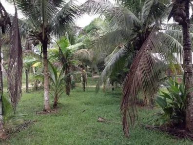 Lote/Terreno à venda no , Rio Preto da Eva