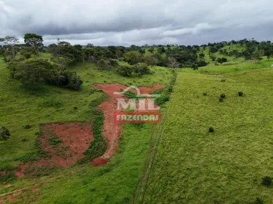 Fazenda/Sítio à venda, 20000m² no Vila Mutirão, Inhumas