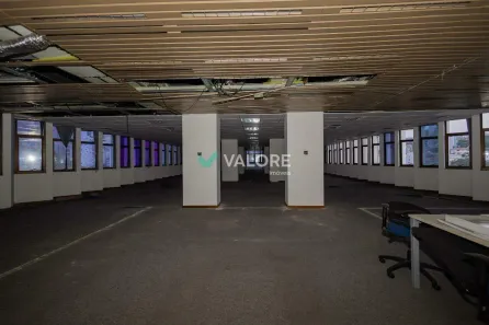 Sala Comercial para alugar, 560m² no Santo Antônio, Belo Horizonte