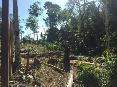 Lote/Terreno à venda, 400m² no Tarumã, Manaus