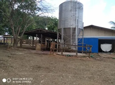 Fazenda/Sítio à venda, 1403600m² no , Itaberaí