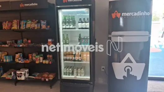 Apartamento com 3 Quartos para alugar, 74m² no São Lucas, Belo Horizonte