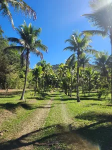 Fazenda/Sítio com 3 Quartos à venda, 300m² no Hararas da Peniche, Tanguá