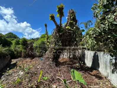 Lote/Terreno à venda, 459m² no Arraial D'Ajuda, Porto Seguro