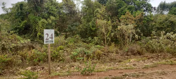 Lote/Terreno à venda, 20000m² no , Paraopeba