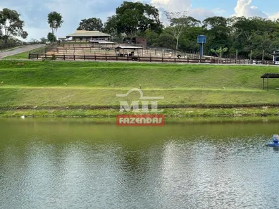Fazenda/Sítio com 1 Quarto à venda, 500m² no , Silvânia