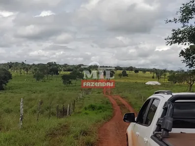 Fazenda/Sítio à venda, 500m² no Centro, Estreito