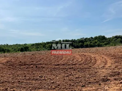 Fazenda/Sítio à venda, 500m² no , São Luíz do Norte