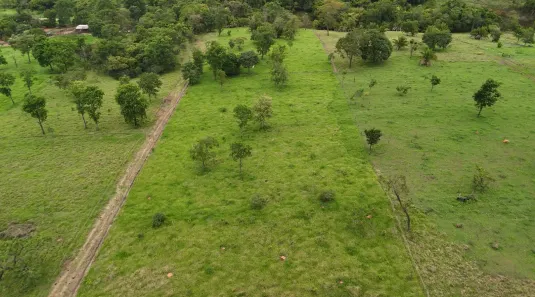 Fazenda/Sítio à venda, 20000m² no ZONA RURAL, Bonfinópolis