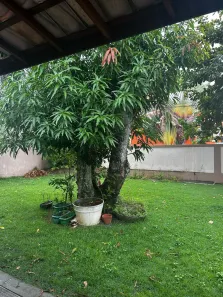 Casa de Condomínio com 4 Quartos para venda ou aluguel, 150m² no Busca Vida (Abrantes), Camaçari