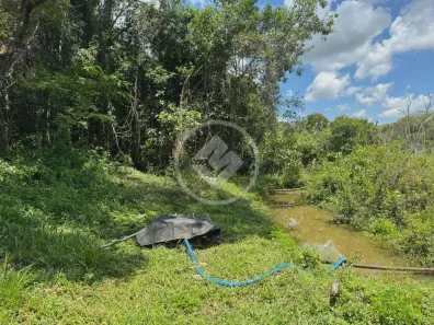 Lote/Terreno à venda, 12187m² no Residencial Santa Efigênia, Goiânia
