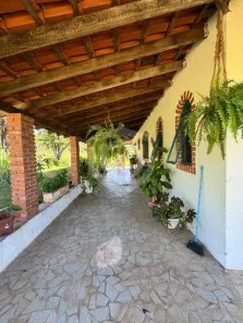 Fazenda/Sítio com 3 Quartos à venda, 650m² no Portal de Piratininga, Piratininga