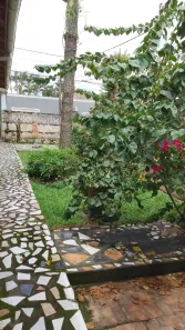 Casa com 3 Quartos à venda, 284m² no , Antonina