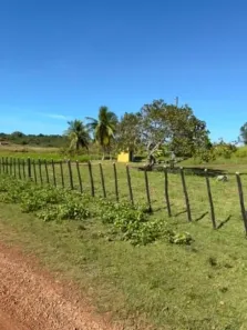 Lote/Terreno à venda, 120000m² no , José de Freitas
