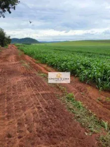 Fazenda/Sítio com 5 Quartos à venda, 800m² no Centro, Estreito