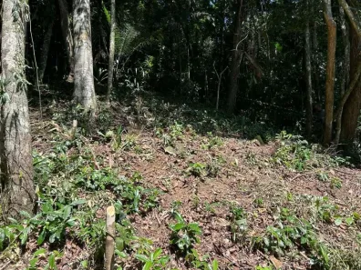 Lote/Terreno à venda, 1800m² no Balneario Praia do Perequê, Guarujá