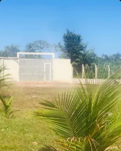 Fazenda/Sítio à venda, 30000m² no Zona Rural, Altos