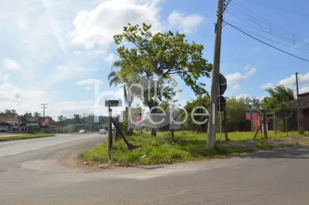 Lote/Terreno à venda, 544m² no Rincão do Cascalho, Portão