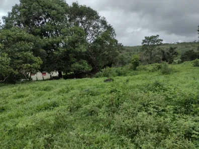 Lote/Terreno à venda, 20000m² no Zona Rural, Fortuna de Minas