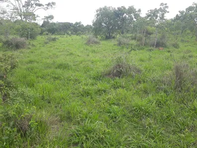 Lote/Terreno à venda, 20000m² no , Araçaí