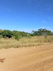 Fazenda/Sítio à venda, 1000m² no , Abadiânia