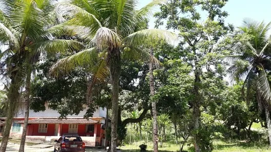 Fazenda/Sítio com 4 Quartos à venda, 12800m² no Duques, Tanguá