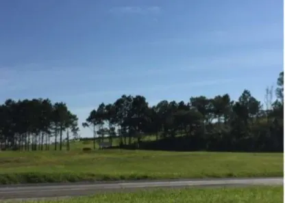 Lote/Terreno para venda ou aluguel, 10900m² no Vila Artura, Sorocaba