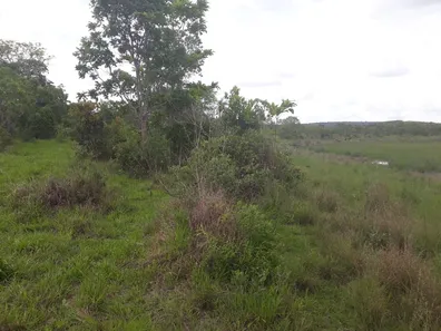 Lote/Terreno à venda, 20000m² no , Araçaí