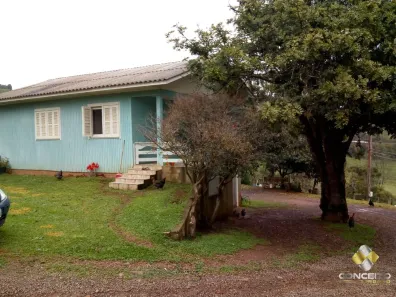 Fazenda/Sítio à venda, 50000m² no Área Rural de Farroupilha, Farroupilha