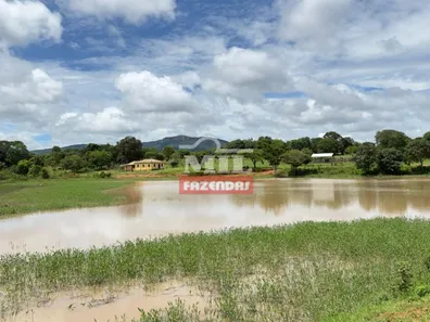 Fazenda/Sítio com 4 Quartos à venda, 500m² no , Goiás